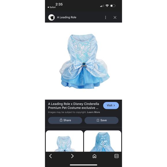 A Leading Role x Disney Cinderella Premium Pet Costume - Picture 10 of 13